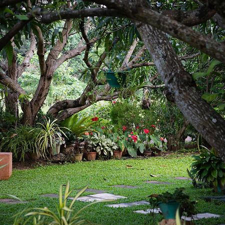 Shan Mango Homestay Sigiriya Exterior foto