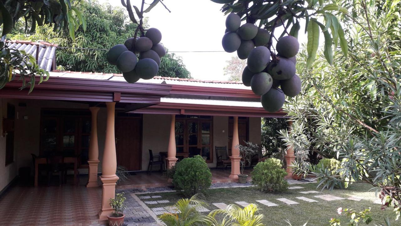 Shan Mango Homestay Sigiriya Exterior foto