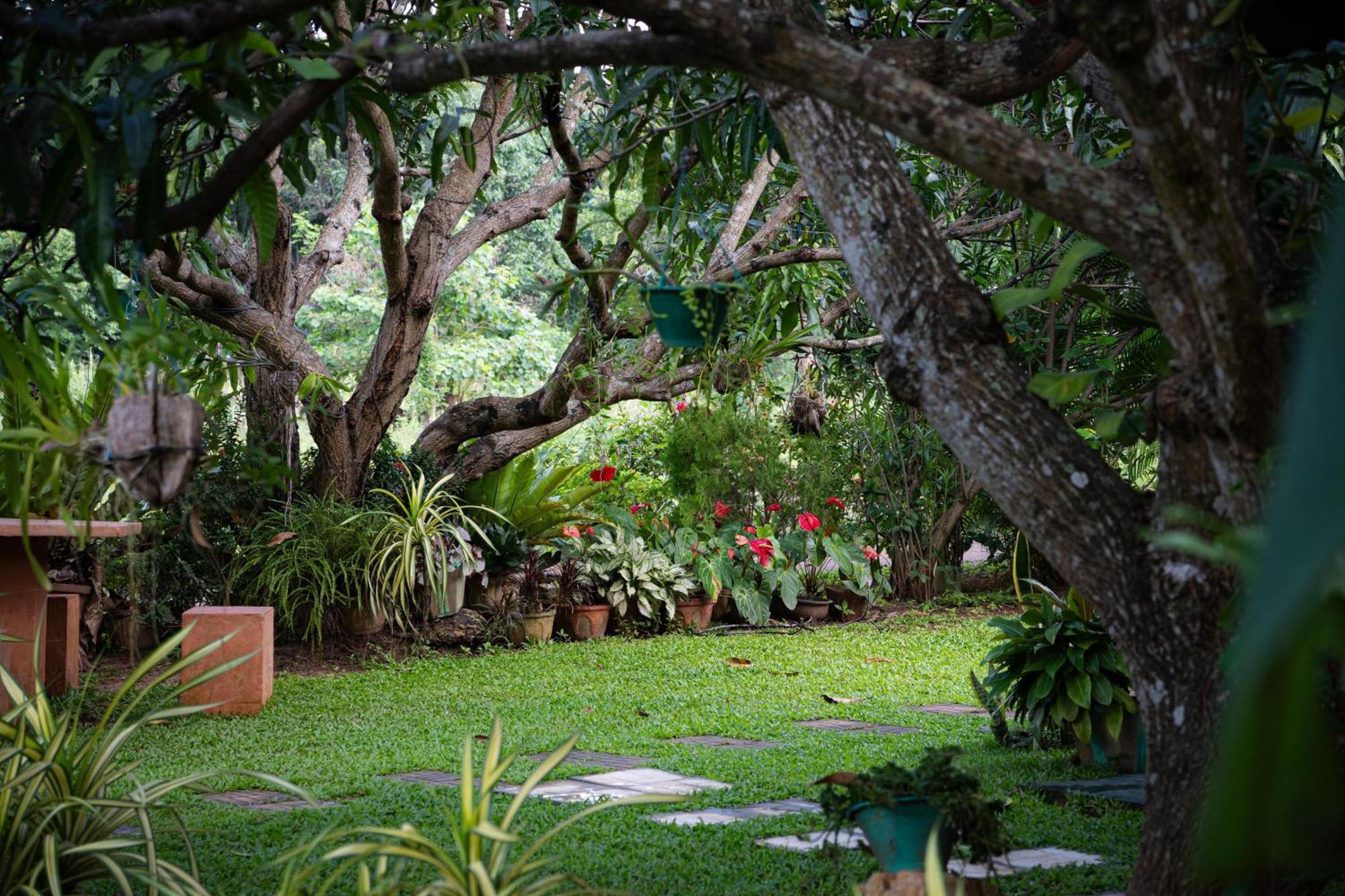 Shan Mango Homestay Sigiriya Exterior foto